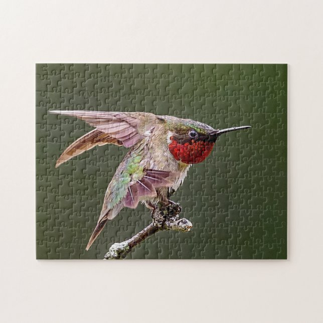 Hummingbird Stretches Puzzle (Horizontal)