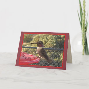 Hummingbird Sympathy Card für jedermann Karte