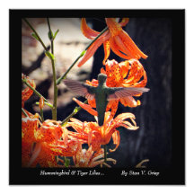 Hummingbird & Tiger Lilies Mendrisiotto