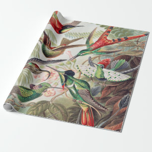 Hummingbird, Trochilidae Kolibris von Ernst Haecke Geschenkpapier