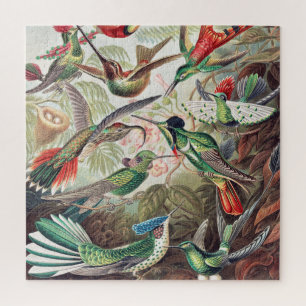 Hummingbird, Trochilidae Kolibris von Ernst Haecke Puzzle