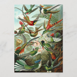 Hummingbird (Trochilidae) von Haeckel Invitation Einladung