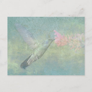 Hummingbird Tune Postkarte