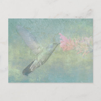 Hummingbird Tune Postkarte