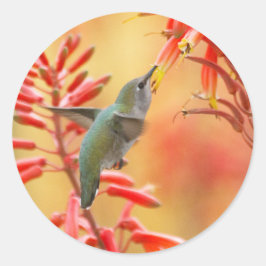 Hummingbird umgeben von rotem Yucca Runder Aufkleber