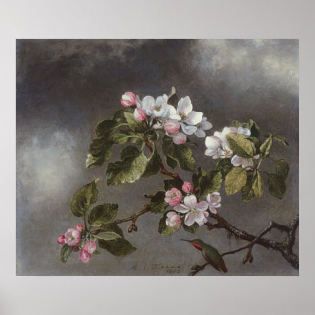 Hummingbird und Apple Blossoms Martin J. Heade Poster (Vorne)