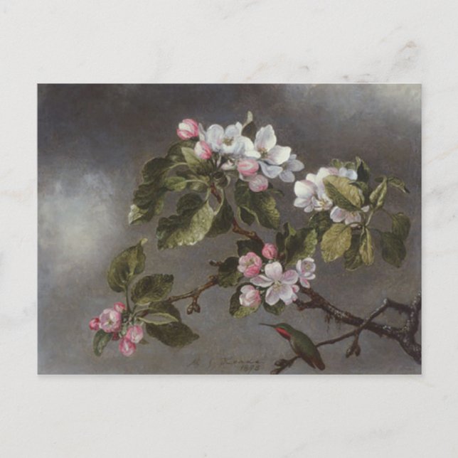 Hummingbird und Apple Blossoms Martin J. Heade Postkarte (Vorderseite)