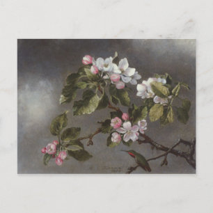 Hummingbird und Apple blühen Martin J. Heade Postkarte