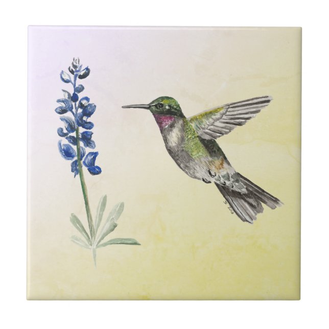 Hummingbird und Bluebonnet auf rosa und gelb Fliese (Vorderseite)