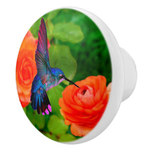 Hummingbird und Blume Keramik Knob Keramikknauf