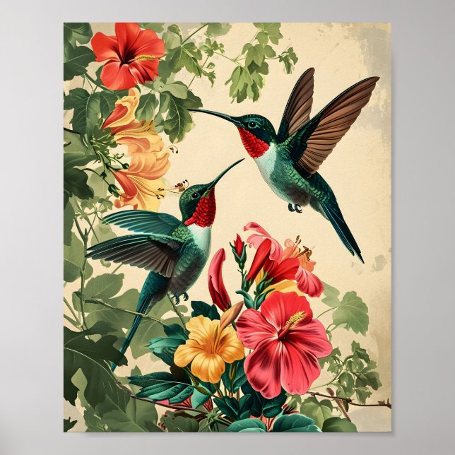 Hummingbird und Blume: Vintag Poster (Vorne)