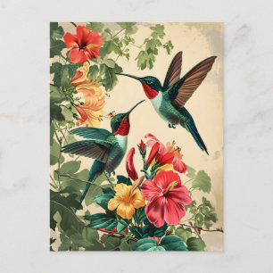 Hummingbird und Blume: Vintage Postkarte