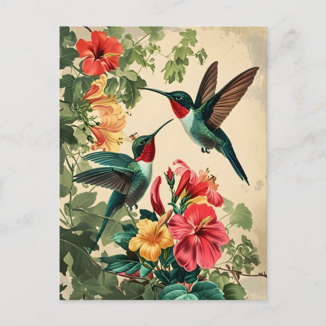 Hummingbird und Blume: Vintage Postkarte (Vorderseite)