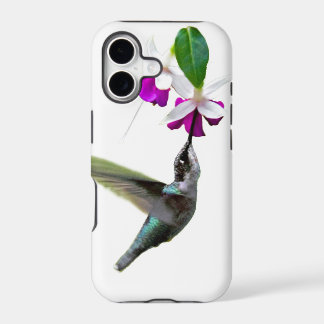 Hummingbird und Fuschia