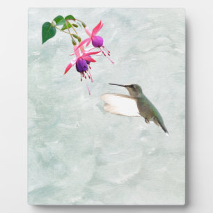 Hummingbird und Fuschia Fotoplatte
