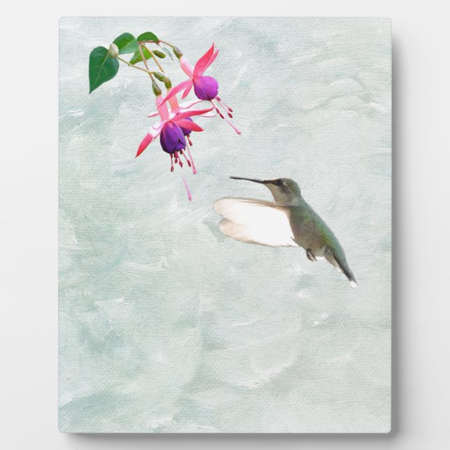 Hummingbird und Fuschia Fotoplatte (Vorderseite)