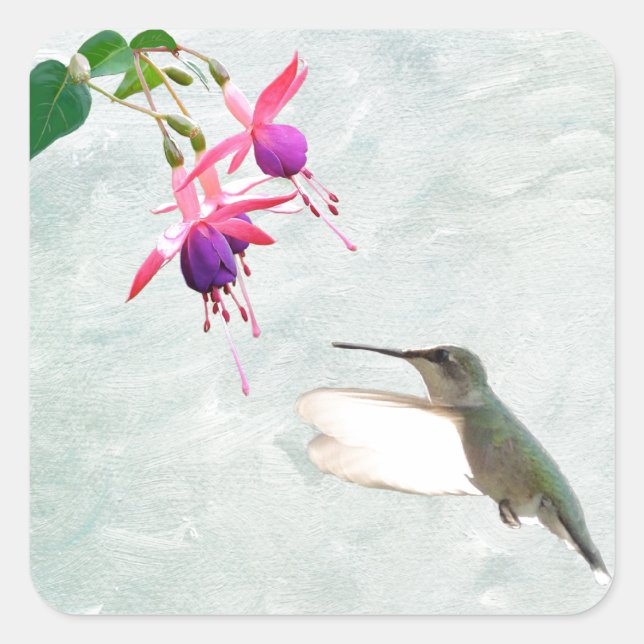 Hummingbird und Fuschia Quadratischer Aufkleber (Vorderseite)