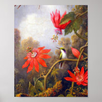 Hummingbird und Passiflora von Martin Johnson Head