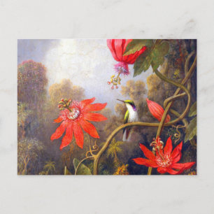 Hummingbird und Passiflora von Martin Johnson Head Postkarte