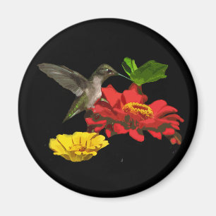 Hummingbird und Zinnias Magnet