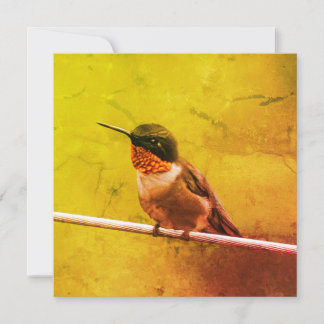 Hummingbird Vielen Dank