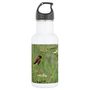 Hummingbird: Vögel in Blume Trinkflasche