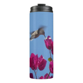 Hummingbird von Peru Tumbler Thermosbecher