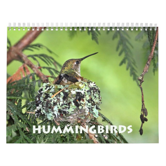 Hummingbird Wall Calendar Kalender (Titelbild)