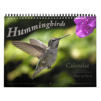 Hummingbird Wall Calendar Kalender