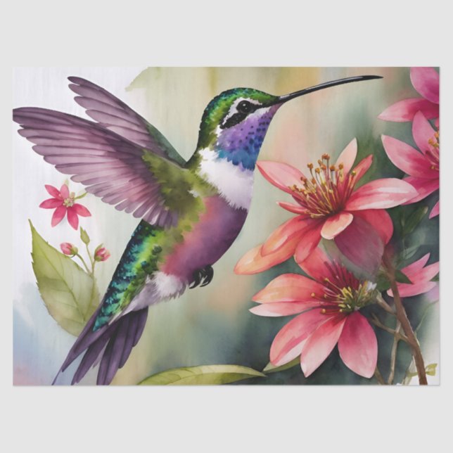 Hummingbird Wasserfarben Seidenpapier (Vorderseite)