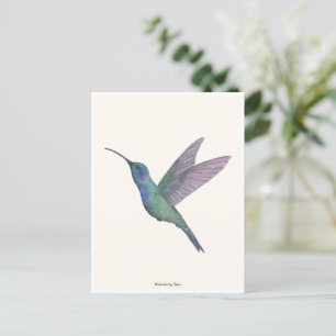 Hummingbird Watercolor Postkarte