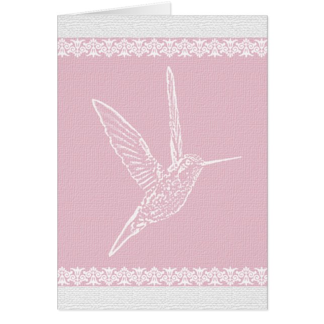 Hummingbird Weiß und Rosa (Vorne)