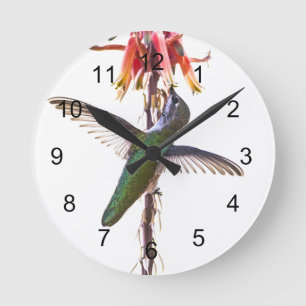 Hummingbird Wings Runde Wanduhr