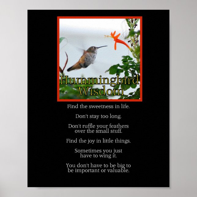 Hummingbird Wisdom Poster (Vorne)