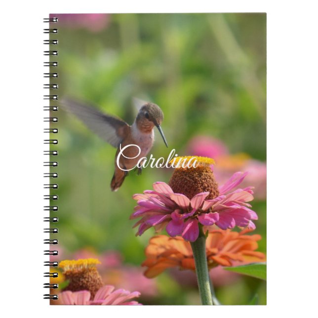 Hummingbird Zinnia Blume Notizblock (Vorderseite)
