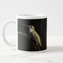 Hummingbirds auf Black 20 oz BIG Tasse