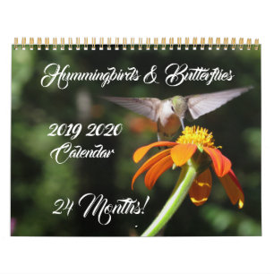Hummingbirds & Butterflies 2019 2020 Kalender