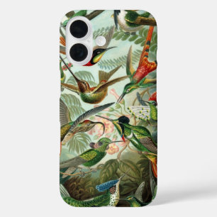 Hummingbirds by Ernst Haeckel, Vintage Vogelbäume iPhone 16 Hülle