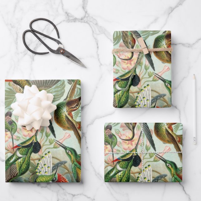 Hummingbirds by Ernst Haeckel, Vintage Vogelbäume Geschenkpapier Set (Vorderseite)