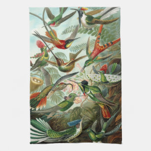 Hummingbirds by Ernst Haeckel, Vintage Vogelbäume Geschirrtuch