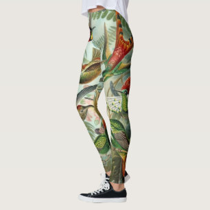 Hummingbirds by Ernst Haeckel, Vintage Vogelbäume Leggings