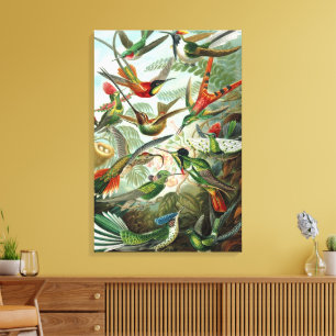 Hummingbirds by Ernst Haeckel, Vintage Vogelbäume Leinwanddruck