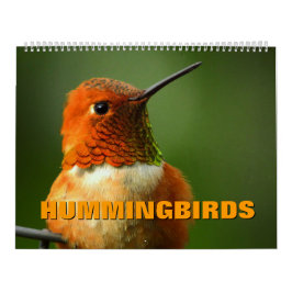 Hummingbirds Calendar Kalender