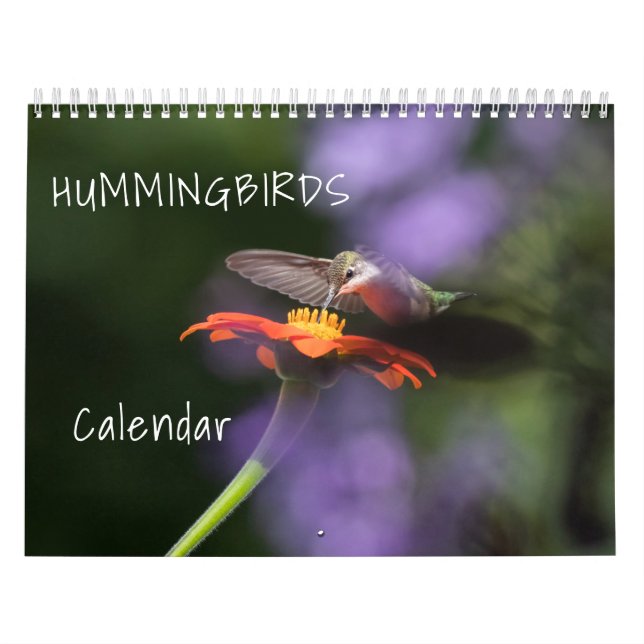 Hummingbirds Calendar Kalender (Titelbild)