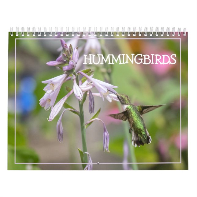 Hummingbirds Calendar Kalender (Titelbild)