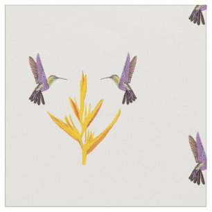 Hummingbirds Dream Stoff