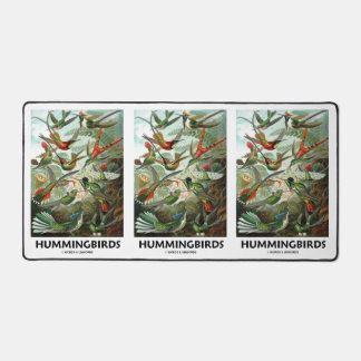 Hummingbirds Ernest Haeckel Artforms der Natur Schreibtischunterlage