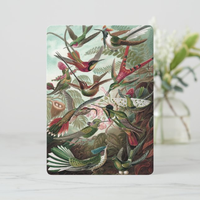 Hummingbirds - Ernst Haeckel Einladung (Stehend Vorderseite)