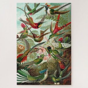 Hummingbirds - Ernst Haeckel Puzzle