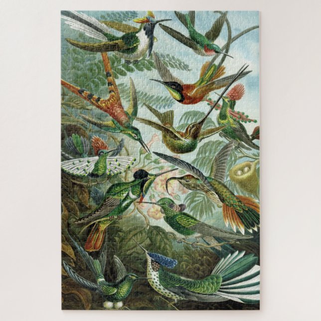 Hummingbirds - Ernst Haeckel Puzzle (Vertikal)